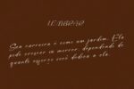 Selonika – Fonte de Script Manuscrita Elegante e Versátil para Design Criativo e Profissional