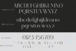 Solene – Fonte Serif Moderna com Estilo Elegante e Personalidade Visual Atemporal para Designers Sofisticados e Marcas Premium