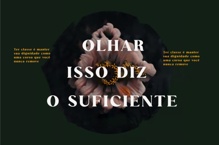 Ravena Elegant Serif – Fonte Serif Elegante com Estilo Moderno e Classe Atemporal para Designers Sofisticados e Marcas Premium