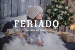 The Jingle – Fonte de Natal com Estilo Decorativo e Charma Vintage para Projetos Festivos e Marcas Sazonais